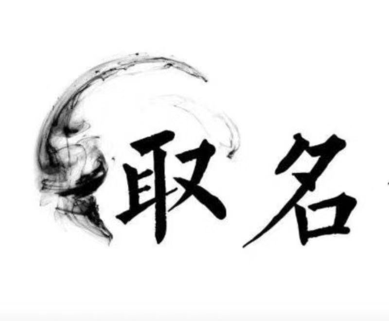  武定宝宝取名 大师一对一人工起名