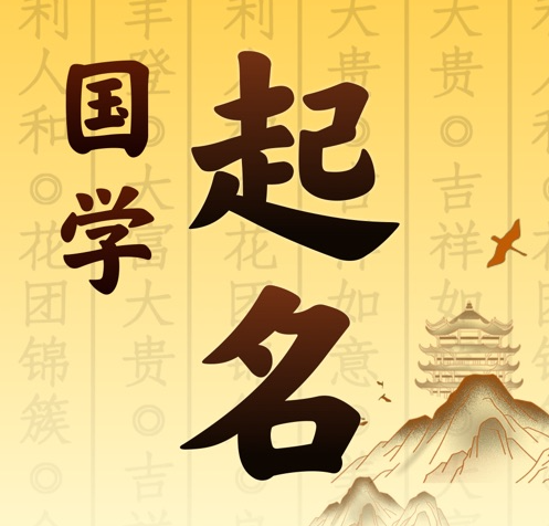 武定国学起名 人工起名一对一